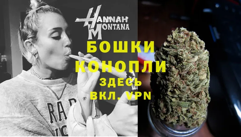 Шишки марихуана SATIVA & INDICA  закладка  Берёзовка 